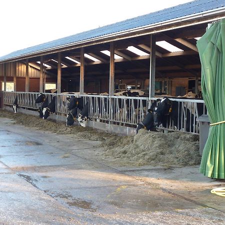 Boerderij "De Verwondering" Goudriaan Екстериор снимка