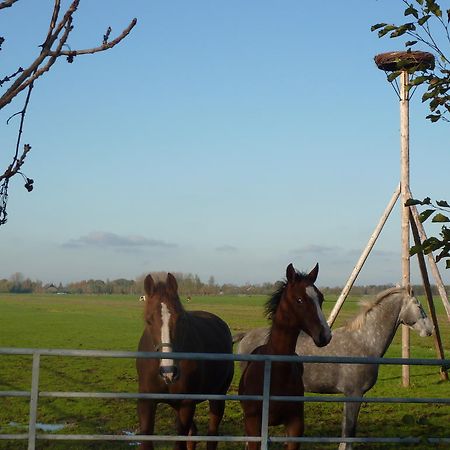 Boerderij "De Verwondering" Goudriaan Екстериор снимка