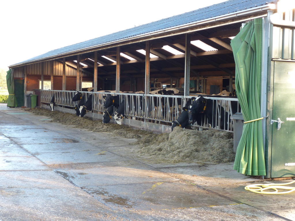 Boerderij "De Verwondering" Goudriaan Екстериор снимка
