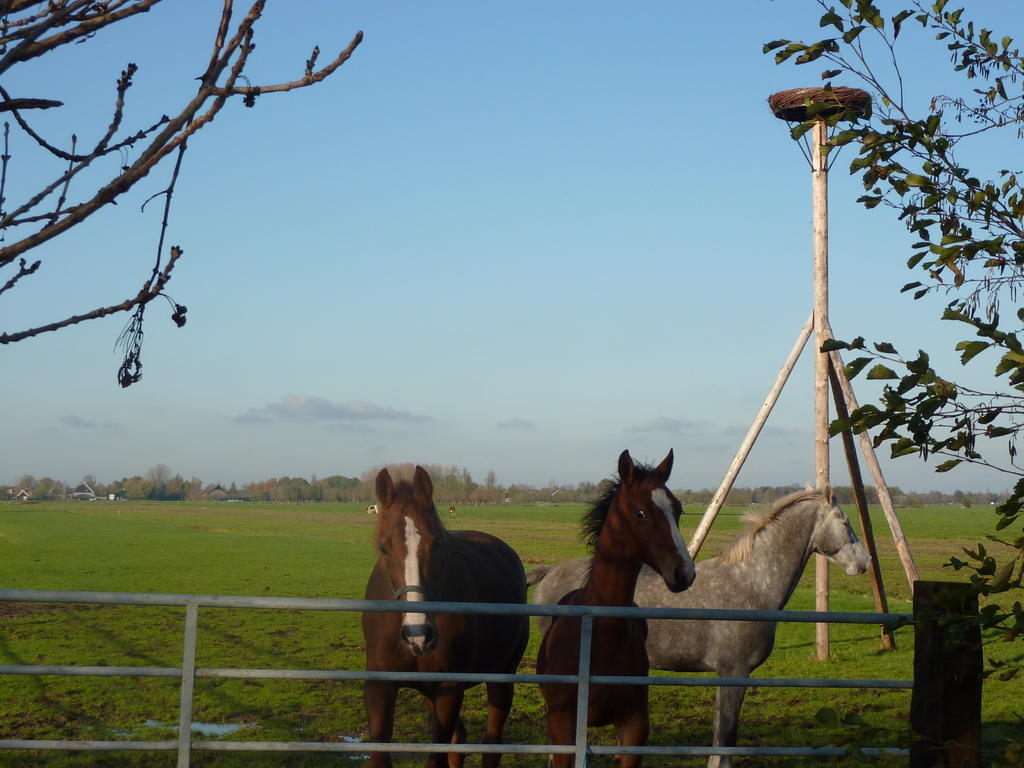 Boerderij "De Verwondering" Goudriaan Екстериор снимка