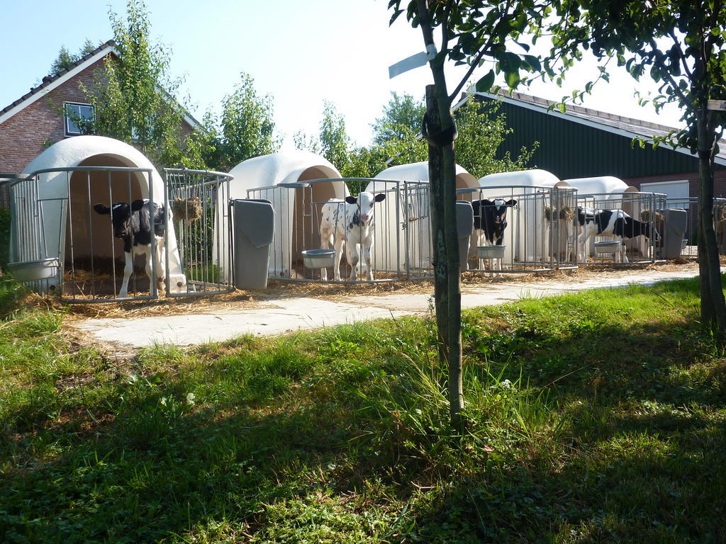 Boerderij "De Verwondering" Goudriaan Екстериор снимка