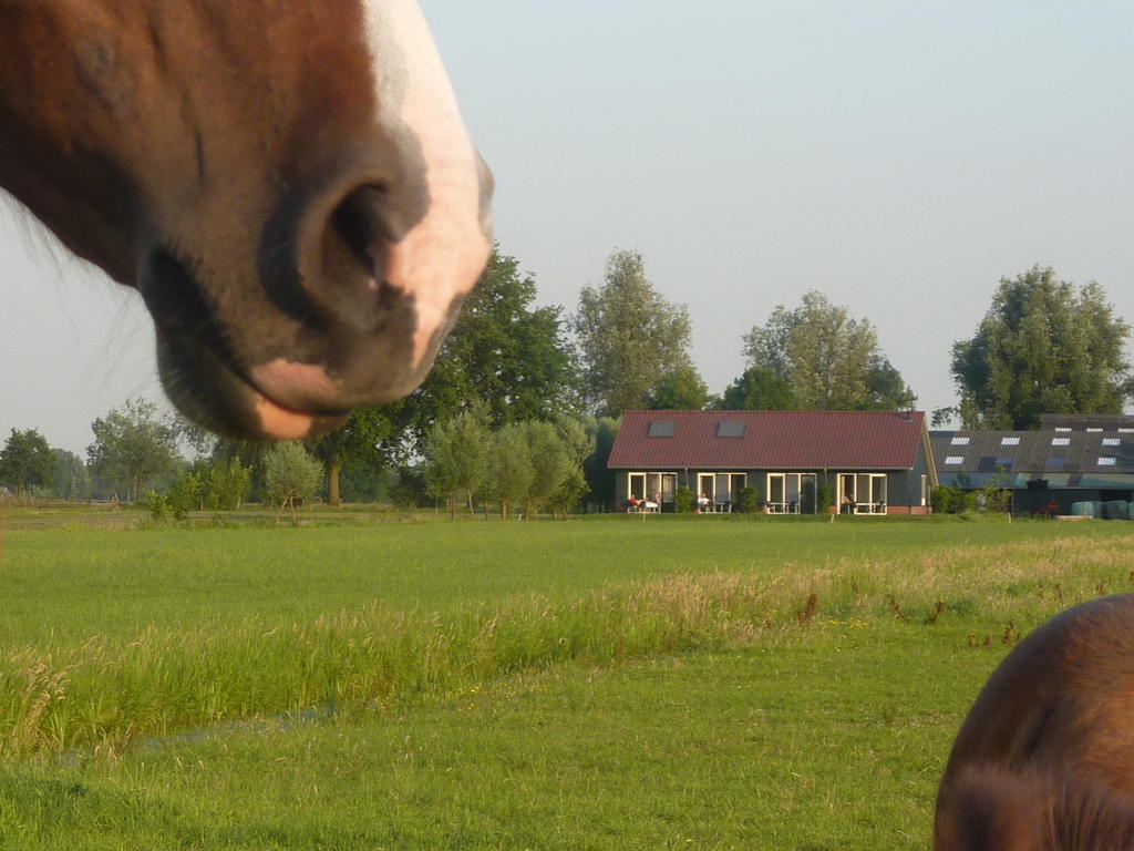 Boerderij "De Verwondering" Goudriaan Екстериор снимка